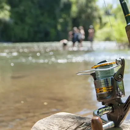 pêche marais