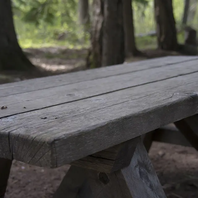 Table de pique-nique