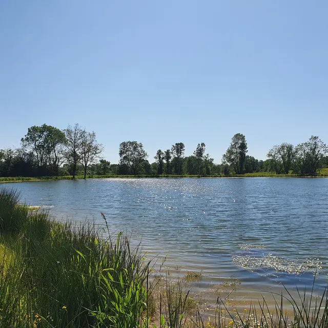 randonnée-les-etangs-foussais-payré-fontenay-vendee-85- (3)