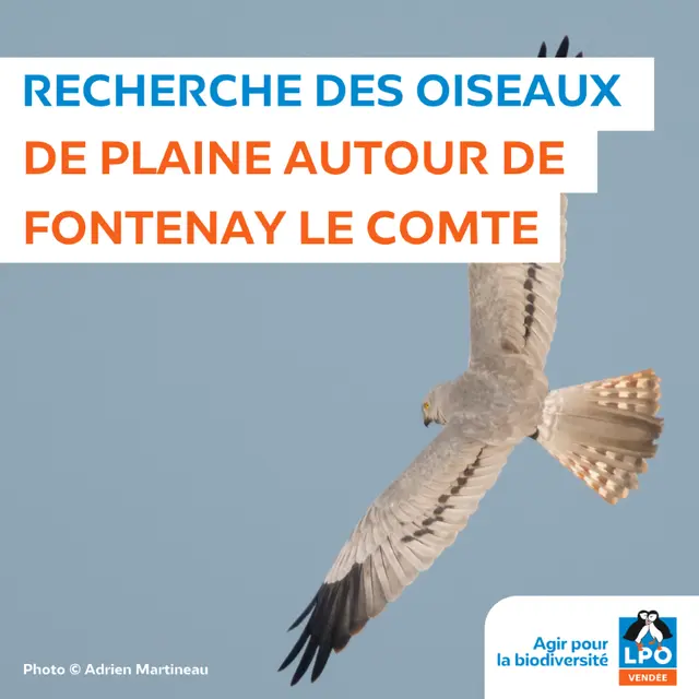 Sortie LPO
