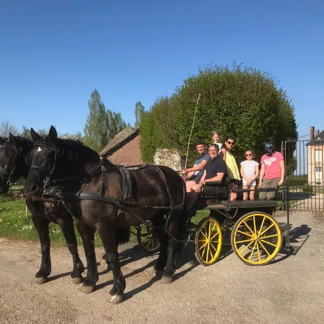 Balade en calèche