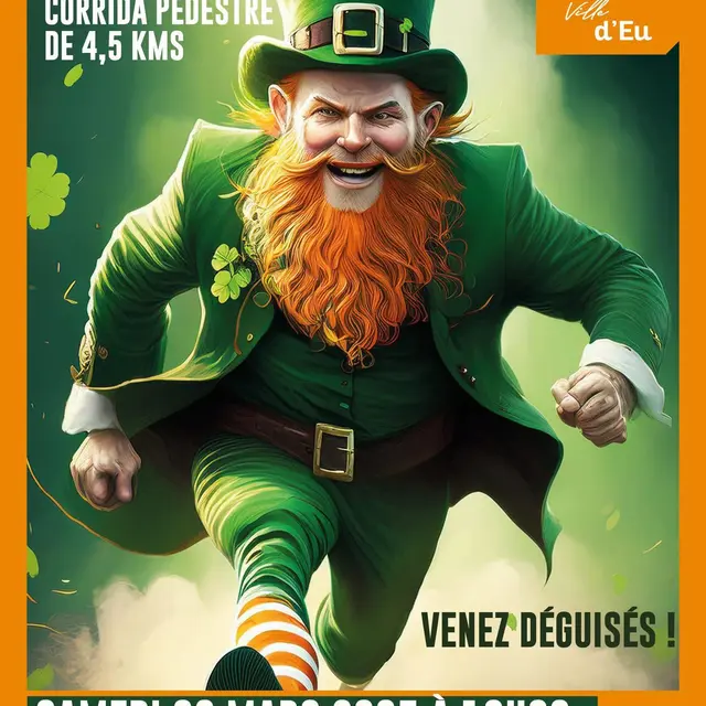 Nouvelle Affiche Paddy Run