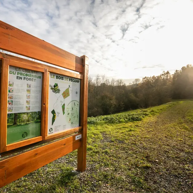 Parcours pédagogique du Bois de Fécamp