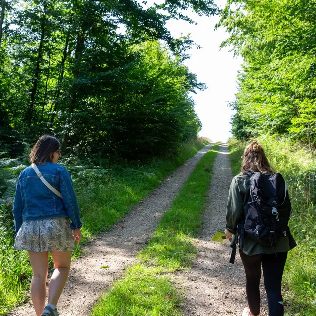 Randonnée dans la forêt de Lyons