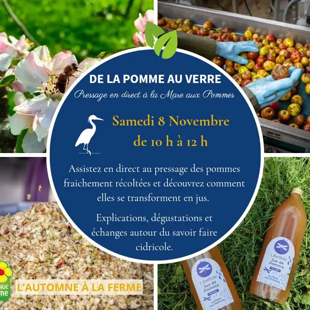 574856076_771026715914611_1243046428106852447_n