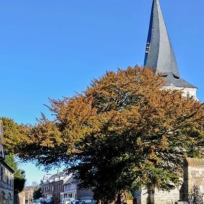 La nature près de chez nous - Offranville