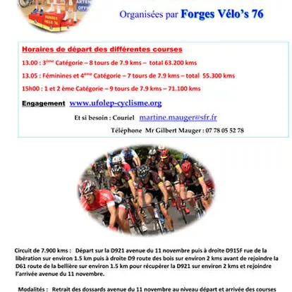 692_449_forgesveloweb