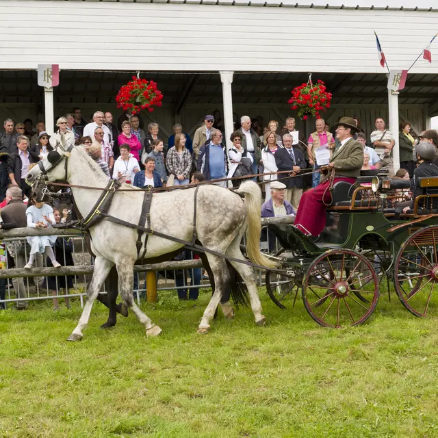 © Laurent SAINTIER-BAC-9694