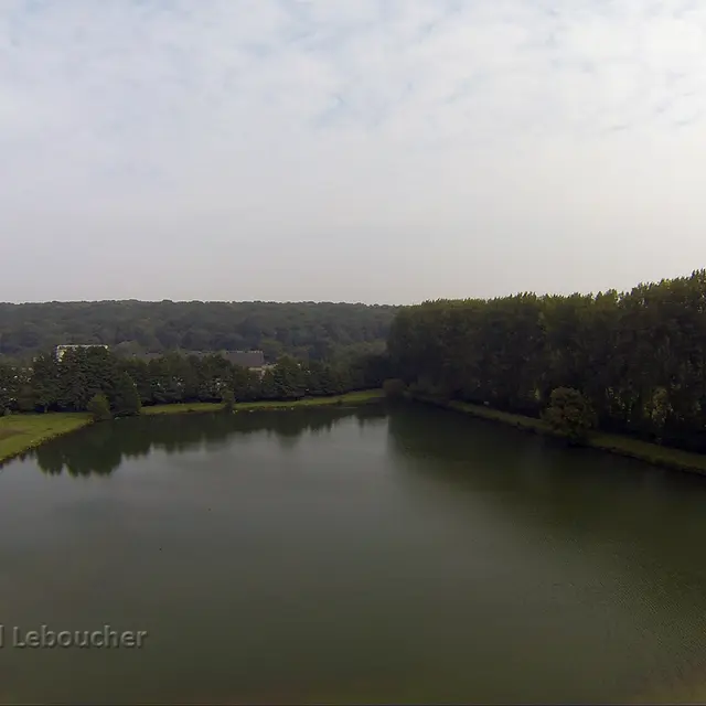 l'étang vue du dessus
