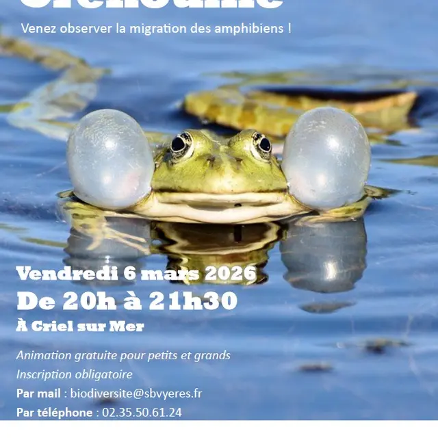 030626 - CRIEL - Nuit de la Grenouille