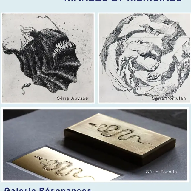06222025 - LT - EXPOSITION GALERIE RESONANCES
