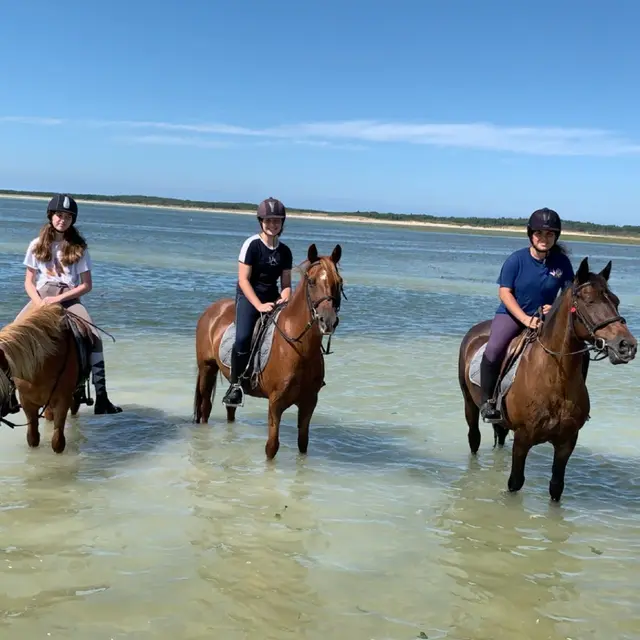 Poney-club Poney Nature - Darnétal