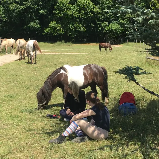 Association Cheval Espérance - Bois Guillaume