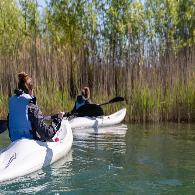 1-Kayak