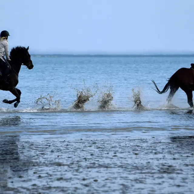 Les cavaliers de la Vallée
