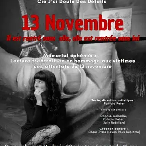13novembre
