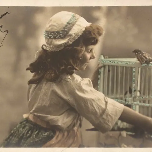 10_abri-oiseaux-1979.08864_001e