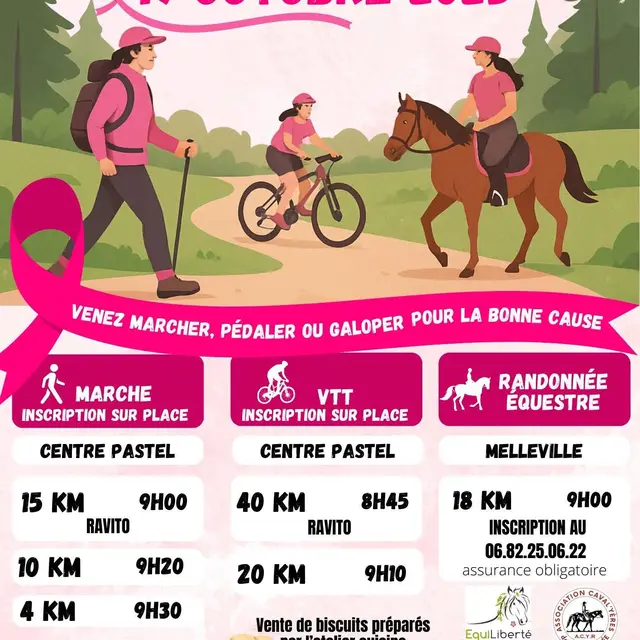 101925 - MESNIL-REAUME - Marche rose