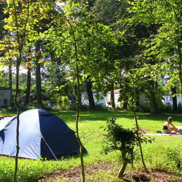 Camping du Golf (Le Trport)