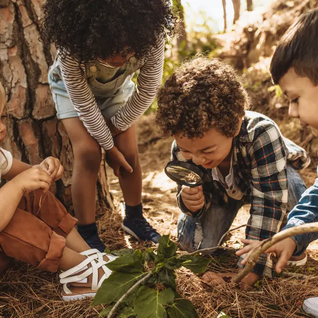 Animations ONF - 2026 - 15 avril 2026