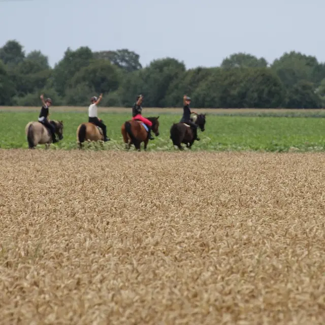Ferme équestre - Haudricourt