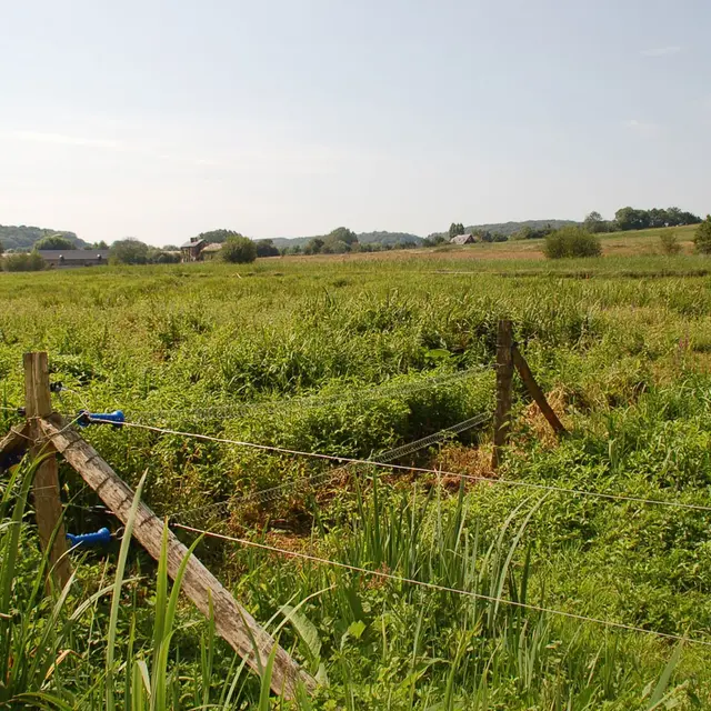 Domaine du Colmoulins