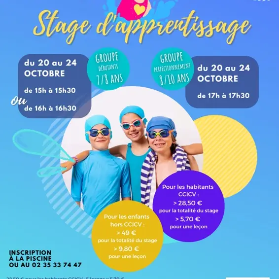 20-24 10 montville piscine