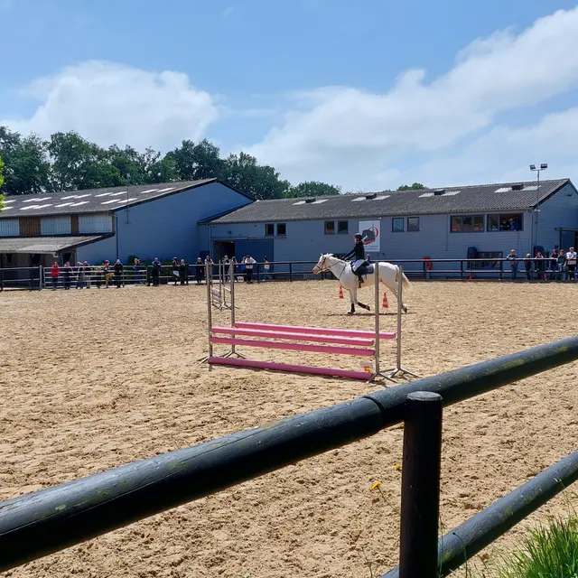 Concours de Saut d'Obstacles à Offranville