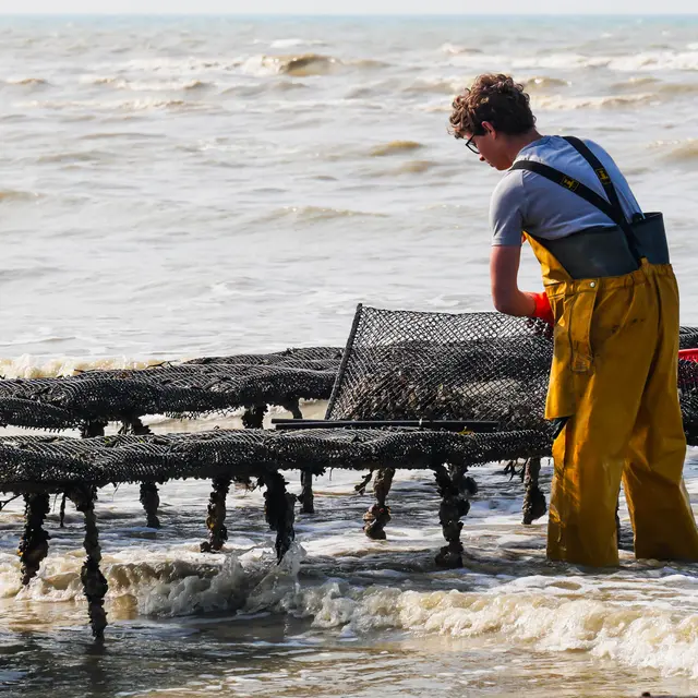 2025-04-26_VLR_Visite des parcs à huitres (146)