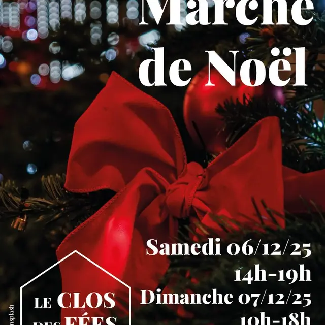 2025-12-06_PALUEL_Marché de Noel