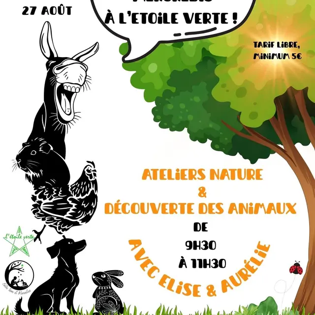 2025_SC_Etoile verte animations (1)