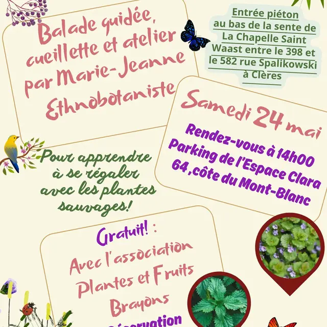 2025 affiche espace du Friquet 24 mai (1)