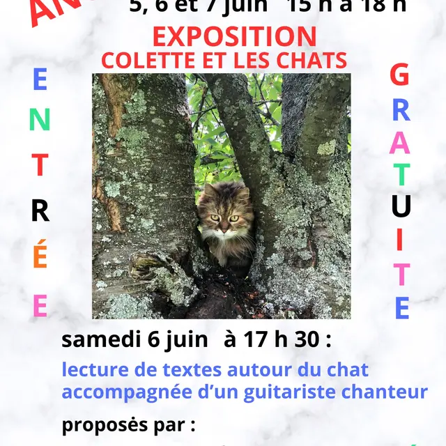 2026-06-05-expo angiens