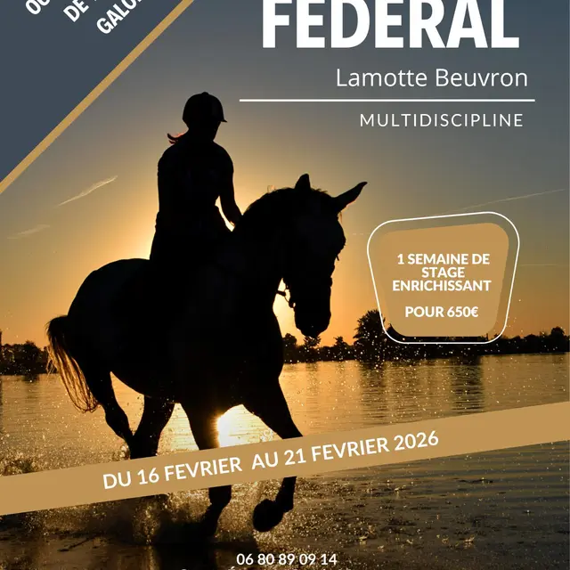 2026-02_CANY-BARVILLE_Stage équitation