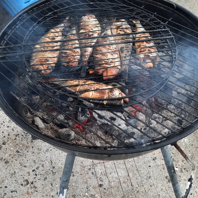 Harengs grillés