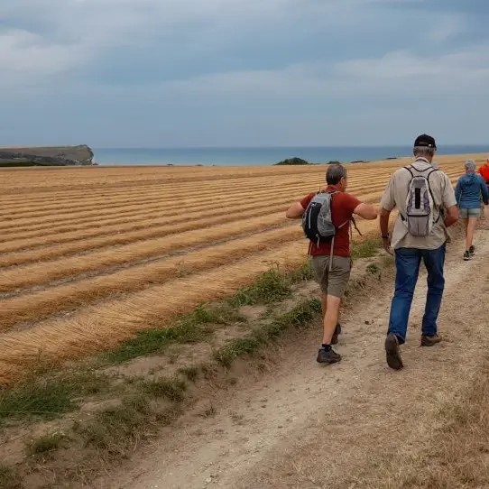 2022-07-22-paluel-sml76 REDIM