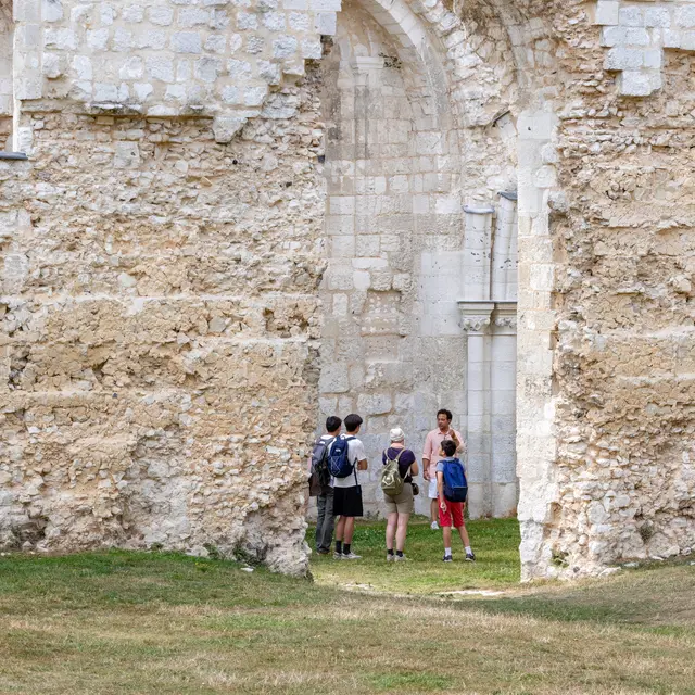 2023-07-20 ©NB Jumiege-3