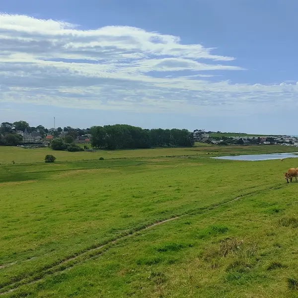 2023_BOUCLE 10_SAINT AUBIN SUR MER©CCCA (35) - Copie