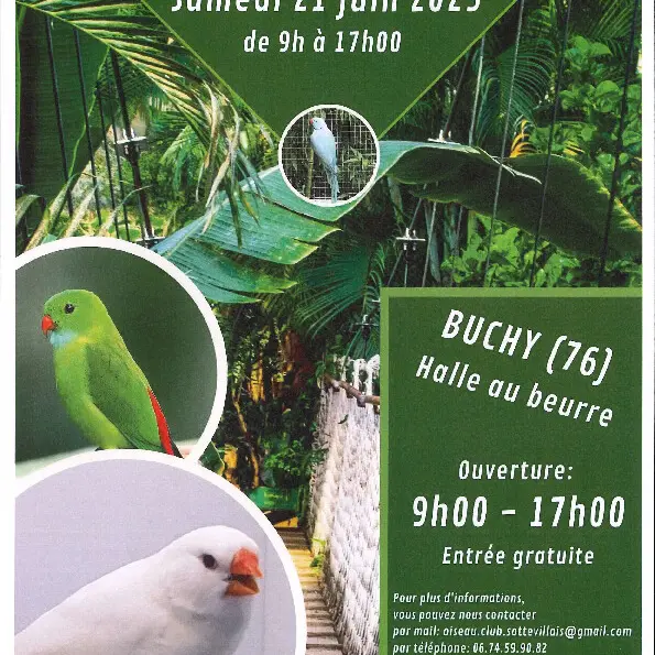 21 juin buchy bourse aux oiseaux ( à voir si on publie en fma)