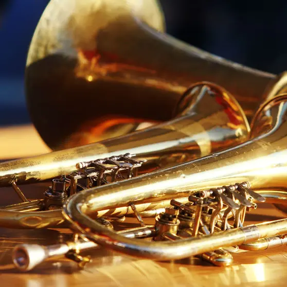 28 Fête de la musique