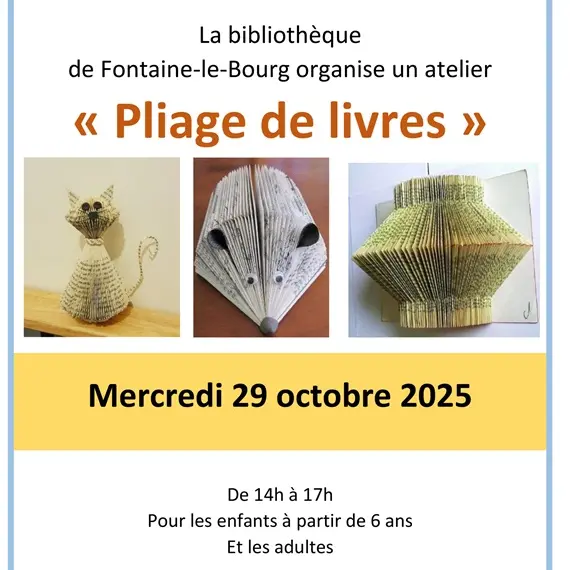29 10 bibliothèque fontaine le bourg