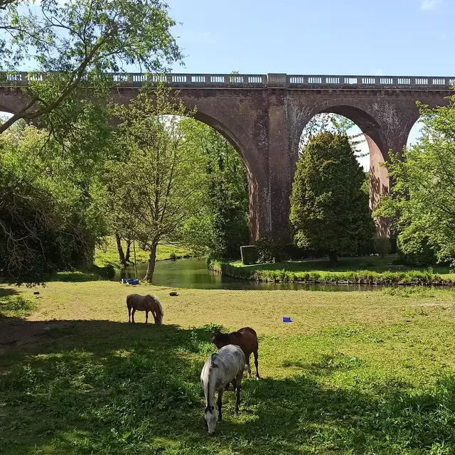 Viaduc de Touffreville-sur-Eu