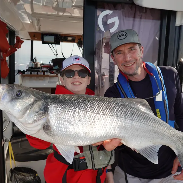 Gros bar de Normandie