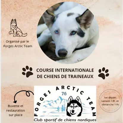 3491_060_chien