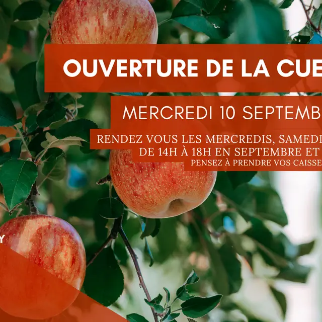 thumbnail_Flyer Image Cueillette