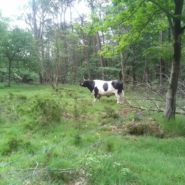 Mission Nature au Bois des Communes