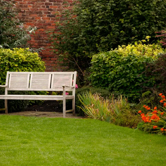 Jardin