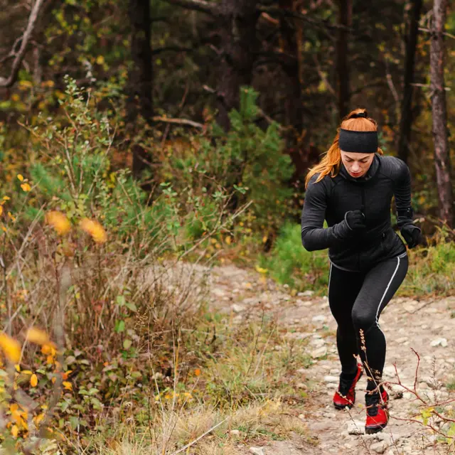 trail-foret-photo-generique-freepik