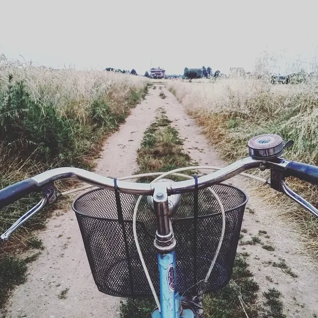 Véo_chemin_champs