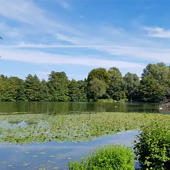 vignette-parc-de-rouelles-2